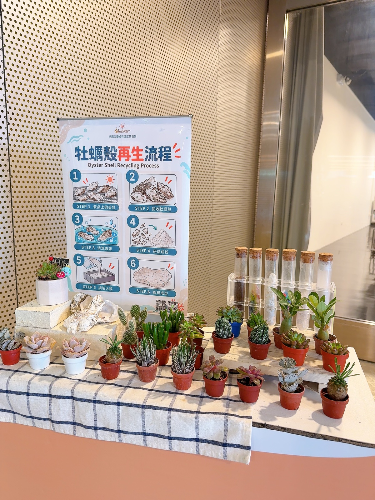 現場的材料、植物與再生流程展示